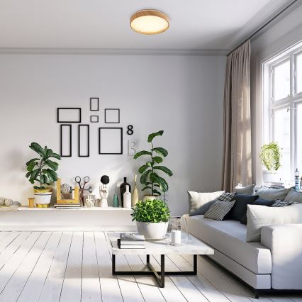 Rabalux - LED-kattovalaisin LED/12W/230V 3000K halkaisija 26 cm